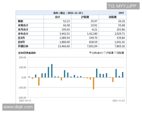 南京羽毛球队与武汉羽毛球队赛后复盘分析比赛节奏与战术对决