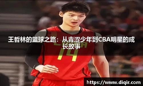 DB旗舰官网
