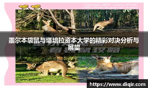 DB旗舰官网